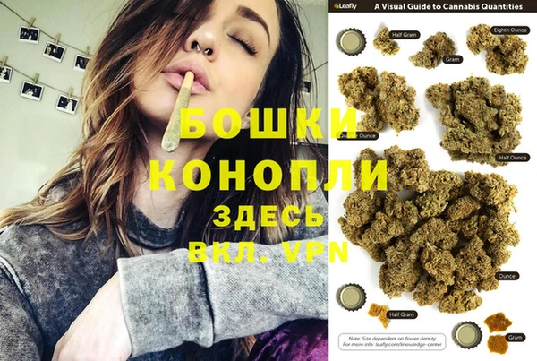 PSILOCYBIN Алексеевка