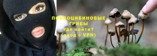 PSILOCYBIN Алексеевка