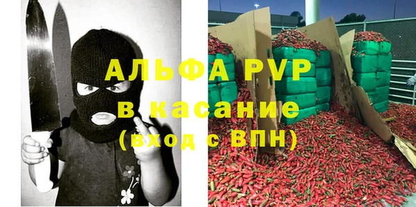 стафф Алзамай