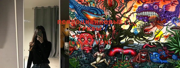 PSILOCYBIN Алексеевка